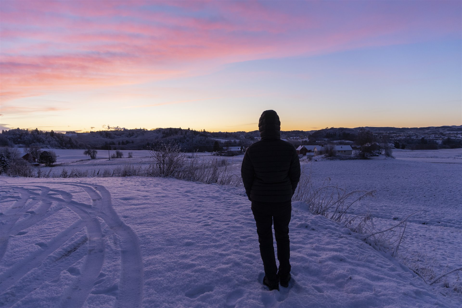 En mørk skikkelse står og ser utover et jorde